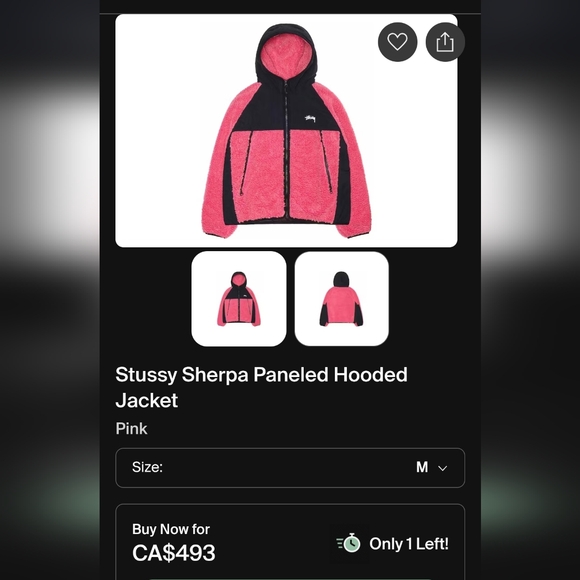 STÜSSY Sherpa Paneled Hooded Jacket Pink (Unisex) - Picture 2 of 14